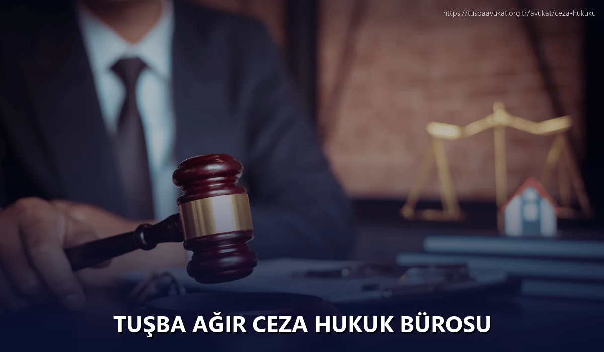 Tuşba Ağır Ceza Hukuk Bürosu