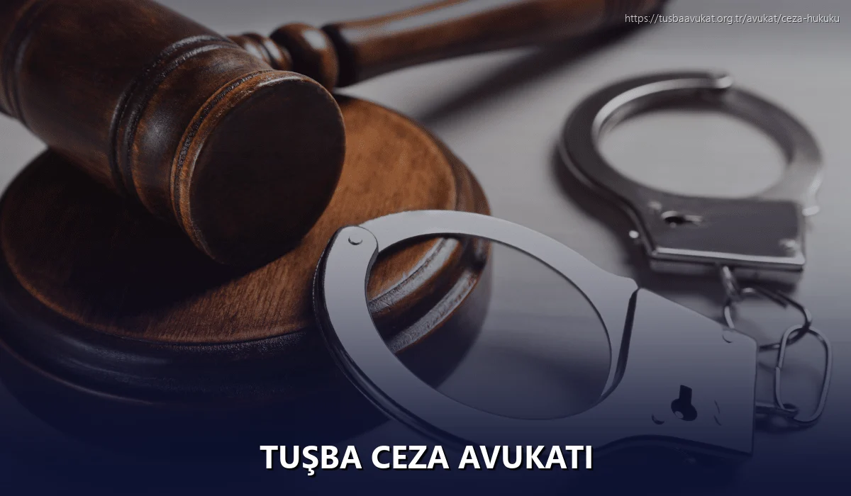 Tuşba Ceza Avukatı
